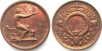 Schweiz - Schützenmedaillen WINTERTHUR SWISS SHOOTING FESTIVAL 1895 Copper medal by HANTZ 45mm -
