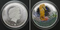 Kamerun CAMEROON. 500 Francs 2023 Seahorse CARIBBEAN LIFE silver RHODIUM -
