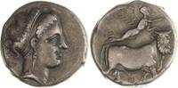 Campania Didrachme 320/ Neapolis -