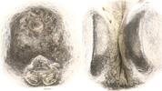 Thailand (Siam) 2 Baht 1851-1868 Rama IV. (Phra Chom Klao 'Mongkut') 185... 563.52 £  +  8.67 £ shipping