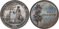 AUSTRIA Award Medal (Verdienstmedaille) 1890s Association of gardeners o... 73.69 £56.35 £  +  11.27 £ shipping