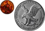 Polen 1 Dollar Silver coin 1 oz USA ASE Knights of Honour Crimson Crusader 2025 color 999 mint / new