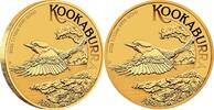 Australien 15 AUD Gold coin 1/10 oz Kookaburra 2026 Perth Mint Gold Coin -