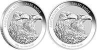 Australien 1 Dollar Silver coin 1 oz Wedge Tailed Eagle 2026 Australia Perth Mint 999 Silver Eagle -