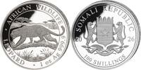 Somalia 100 Shillings 2026 1 oz African Wildlife Somalia Leopard Silver Coin .999 -