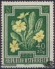 Österreich ** 1948, 40 + 20 Gr. - Heimische Blumen -