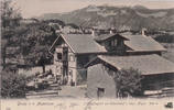 Deutschland Ansichtskarte Alpenrose bei Oberstdorf i. Allgäu 1905 -