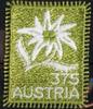 Österreich 2005 **, 3,75 € Edelweiß -