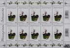 Österreich 2013 ** Klbg. - 10 x 0,62 € Weinregionen Österreichs - Südsteiermark -