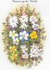 Unbekannt Tansania 1999 ** - Blumen und Blüten aus aller Welt -
