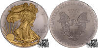 Vereinigte Staaten 1 Dollar 1 Dollar 2009 Eagle - Goldapplikation -