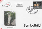 Österreich FDC 2007 - ohne Nominale Trauermarke -