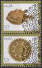 Österreich UNO Wien 2010 - o , € 0,25 - Internat. Jahr d. Biodiversität -