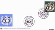 Österreich UNO Wien 2010 - FDC , € 0,75 - 65 Jahre UNO -
