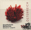 Österreich Österreich 2025 ** - € 1,00 BM Gewöhnliche Berberitze - Berberis vulgaris -