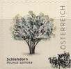 Österreich Österreich 2025 o - € 1,55 BM Schlehdorn - Prunus spinosa -