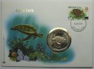 Bermuda WWF Suppenschildkröte -