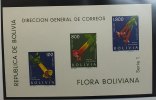 Bolivien Bolivien Block 15 -
