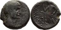 AE 117-138 n.Chr. Judaea/Ascalon Hadrian 119/120 n.Chr. SS / RR /  mit altem Belegzettel