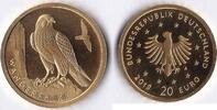 BRD 20 Euro Heimische Vögel - Wanderfalke 1/8 Unze Gold -