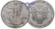 USA 1 $ Silber Eagle -