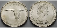 Kanada 1 $ Wildgans, Archivbild -