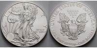 USA 1 $ Silber Eagle -