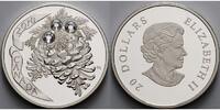 Kanada 20 $ 20 $ Kristall-Kiefernzapfen, changierende Swarowski-Kristalle - klar -Mondschein -