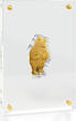Niue 25$ 2026 1/4 oz Gold Coin Disney - Winnie the Pooh - Celebrating 100 Years Proof
