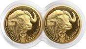 Südafrika 100 Rand 2023 2 x 1/4 oz Gold Coins Big Five Series II - Buffalo - Double Capsule - Set Proof