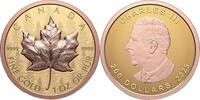 Kanada 200$ 2025 1 oz Gold Coin Maple Leaf - Ultra High Relief Reverse P... 4,074.67 £  +  26.01 £ shipping