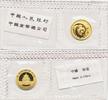 China 20 Yuan 1/20 oz Gold Coin Panda -