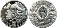 Südafrika 20 Rand 2021 1 oz Platinum Coin Big Five Series I - Buffalo PP 2,730.89 £  +  26.01 £ shipping