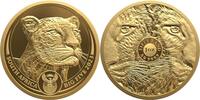 Südafrika 50 Rand 1 oz Gold Coin Big Five Series II - Leopard -