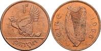 Irland 1 Pingin -