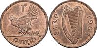 Irland 1 Pingin -
